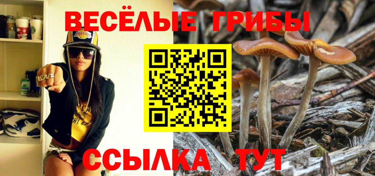 Псилоцибиновые грибы Magic Shrooms Видное
