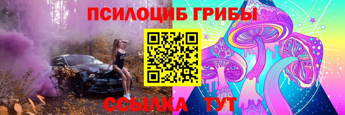 Видное  как найти   Вход с VPN  Псилоцибиновые грибы мухоморы 